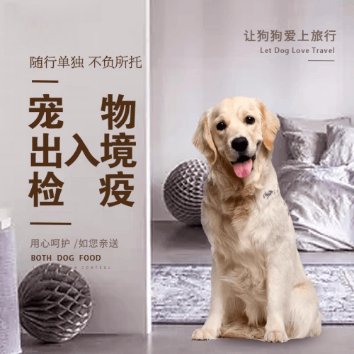 省直辖行政单位宠物托运到哥伦比亚猫狗宠物入境规定和