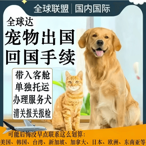 省直辖行政单位宠物托运到柬埔寨宠物入境规定和要求
