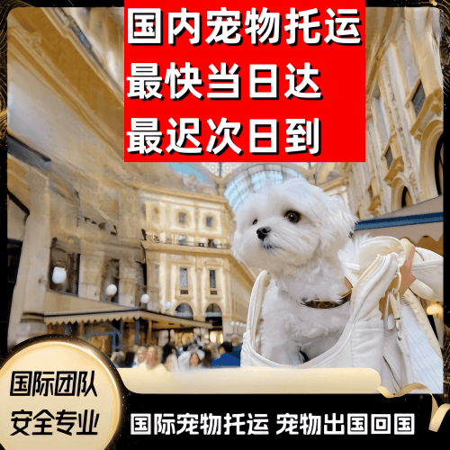 省直辖行政单位到澳大利亚（澳洲）宠物入境规定和要求