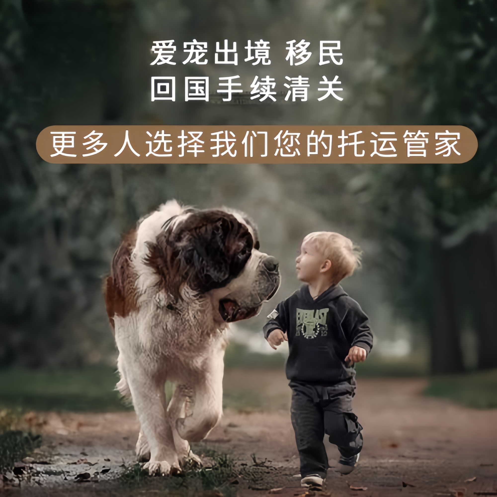 满财省直辖行政单位宠物全球达宠物托运在遵守入境目的地政策的条件