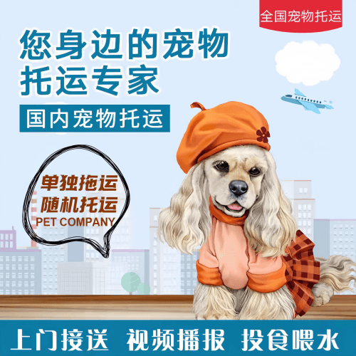 满财省直辖行政单位宠物全球达宠物托运作为专业的宠物运输代理机构